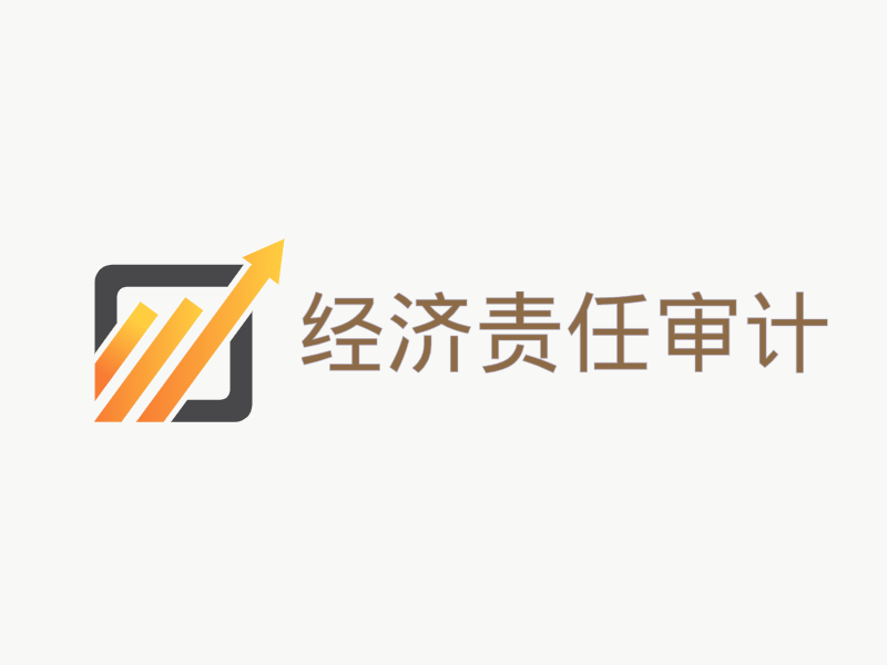 经济责任审计